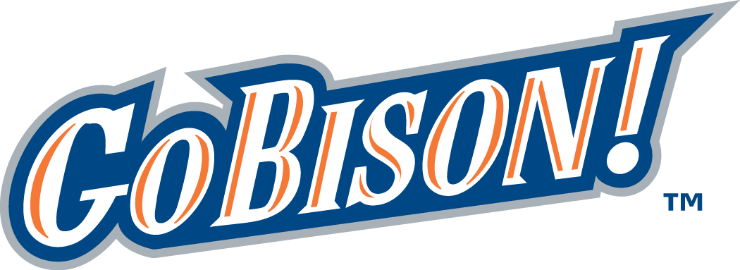 Bucknell Bison 2002-Pres Wordmark Logo v3 diy DTF decal sticker